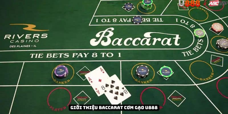 Tổng quan Cơm Gạo tại U888